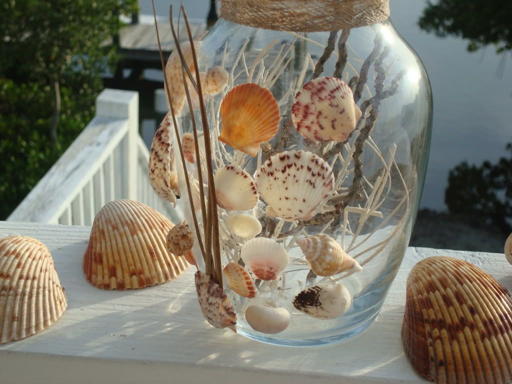 Glass Vase With Seashell & Beach Theme Photo by gulfcoastseashells